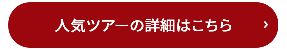 人気ツアーの詳細はこちら