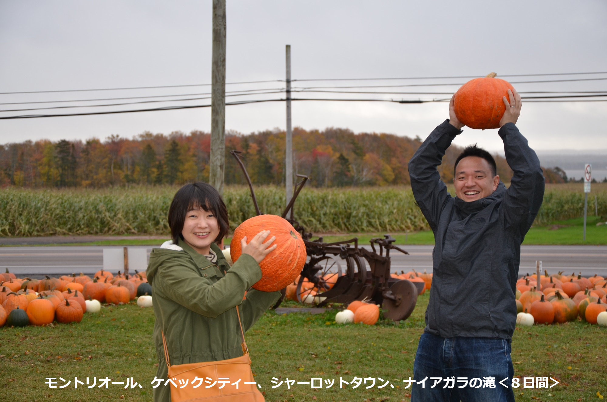 モントリオール、シャーロットタウン、ナイアガラの滝＜８日間＞