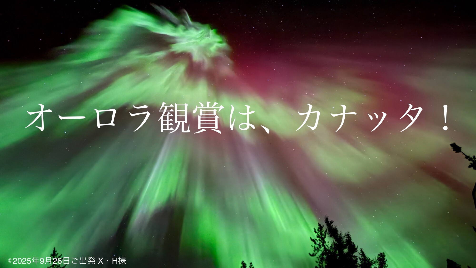 オーロラ観賞は、カナッタ! オーロラ観賞は、カナッタ!