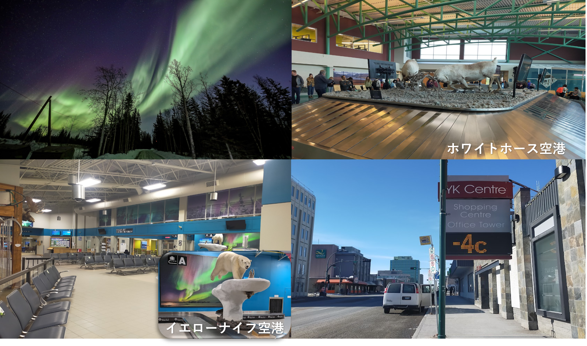 最新の現地情報 最新の現地情報